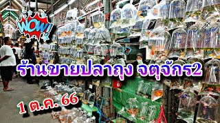 ปลาถุงที่จตุจักร2 (มีนบุรี) ล่าสุด 1 ต.ค. 66 #NCO544