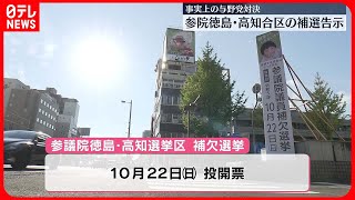 【2人が立候補】参議院徳島・高知選挙区の補選告示される  事実上の与野党対決