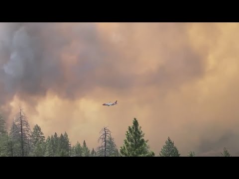 Incendio forestal en California: Park Fire se expande mientras permanecen las evacuaciones en Butte, Plumas, Shasta y Tehama