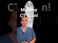 Have you ever seen a mummy’s CT scan?