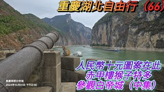 人民幣十元圖案在此，赤甲樓許多猴子，參觀白帝城（中集），重慶湖北自由行（66）。