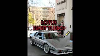 Rare! Lotus esprit Turbo spotted in the wild!🔥#cars #import #turbo