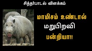 மாமிசம் உண்டால் பன்றியாக பிறப்பாய் || திருமந்திரம் || paramaragasiyam