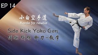 EP14 Side Kick Yoko Geri 侧蹴 侧踢 脚刀 教学