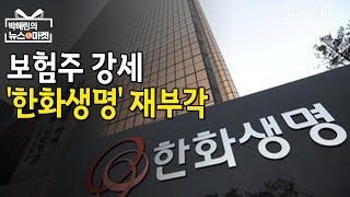 1년새 4배 뛴 한화생명‥\