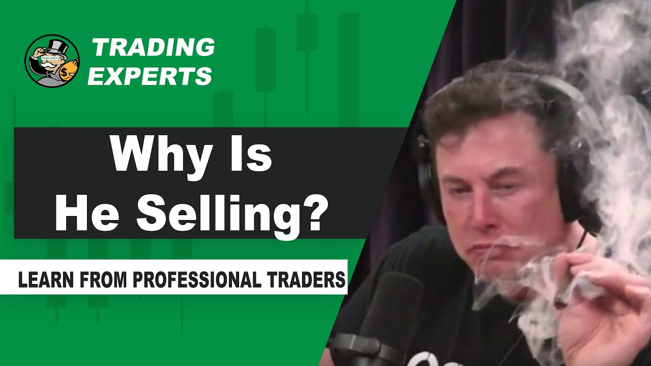 Why Is Elon Musk Selling His Stock? - YouTube