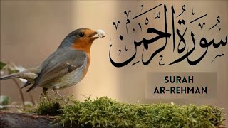 Surah Ar-Rahman (The Beneficent) | سورة الرحمن | Omar Hisham | Juz 27th