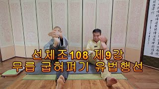 선 체조108 제9강  무릎 굽혀 펴기 유법 행선