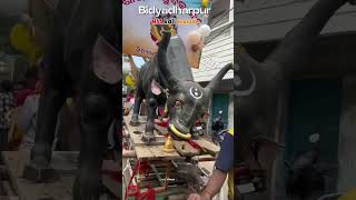 Cuttack Bidyadhar pur kali vasani#viral#trending