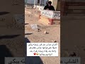 الشاب عباس عند قبر زوجته يبكي شوقاً على فراقها عباس نظلم هو واهله بعد وفاة زوجته زهراء بعد اتهامهم