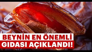 Beynin en onemli gıdası açıklandı İşte beynin en onemli gıdası