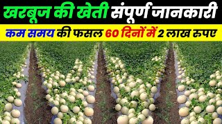 kharbuja ki kheti | खरबूज की खेती 2024 संपूर्ण जानकारी | muskmelon farming A to Z जानकारी