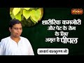 शारीरिक कमजोरी और पेट के रोग के लिए अमृत है पीपल ~Benefits of Ficus Religiosa~Acharya Balkrishna Ji