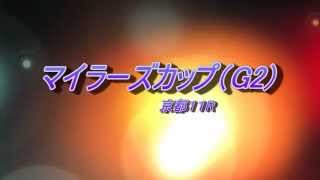 マイラーズカップ（G2)　予想馬柱