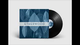 Best of Etherwood 2018 mix