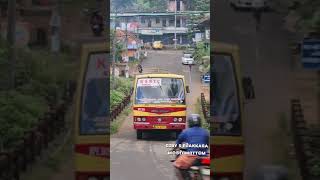 കൊന്നക്കാട് എന്ന ഗ്രാമത്തിൽ ഇടുക്കിയിൽ നിന്ന് ഉള്ള കടുവാ ഇറങ്ങിയപ്പോൾ | Kumily - Konnakad SF