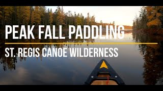 Peak Fall Paddling in St. Regis Canoe Wilderness