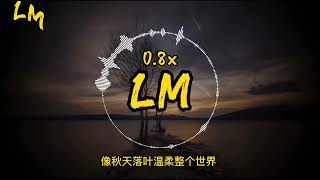 盛哲 - 在你的身边 0.8x『我以为忘了想念而面对夕阳希望你回到今天。』【動態歌詞 Pinyin Lyrics】