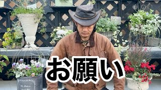 実は今、来年開催予定の春の花友フェスタが厳しい状態です。。。　　　　【カーメン君】【ガーデニング】