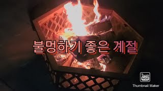 캘리포니아 패밀리의 미국일상/독감주사/밤수영/불멍