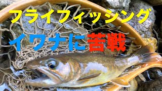 【渓流釣り】九頭竜川水系 フライで狙うイワナ 苦戦の釣行でした 2021.06.21