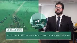 AGU cobra R$ 725 milhões de infratores ambientais no Pantanal