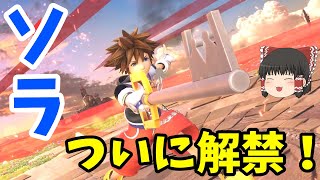 【スマブラＳＰ】ソラ実装初日！早速使ってみたよ！【ゆっくり実況】