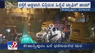 Bengaluru Rainfall: ಬೆಂಗಳೂರಿನಲ್ಲಿ ಭಾರಿ ಮಳೆಯಿಂದಾಗಿ ಅವಾಂತರ ಶೇಷಾದ್ರಿಪುರಂನಲ್ಲಿ ಗಾಳಿ ಮಳೆಗೆ ಧರೆಗುರುಳಿದ ಮರ