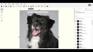 Bead Pattern Maker - Getting Started - Desktop