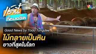 ไม้กลายเป็นหินที่ยาวที่สุดในโลก | Good News by Todd Tongdee