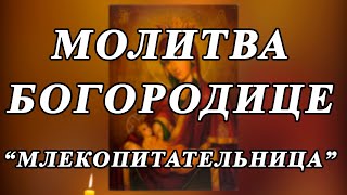 ☦Молитва Пресвятой Богородице МЛЕКОПИТАТЕЛЬНИЦА☦