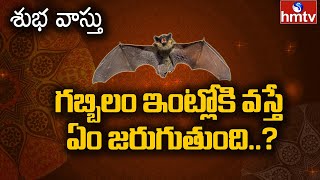 గబ్బిలం ఇంట్లోకి వస్తే ఏం జరుగుతుంది..? | Subha Vasthu | hmtv