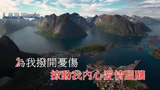 陳潔麗 - 印象 (繁體卡拉OK歌詞)