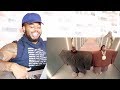 Kanye West & Lil Pump - "I Love It" (Music Video) | Reaction