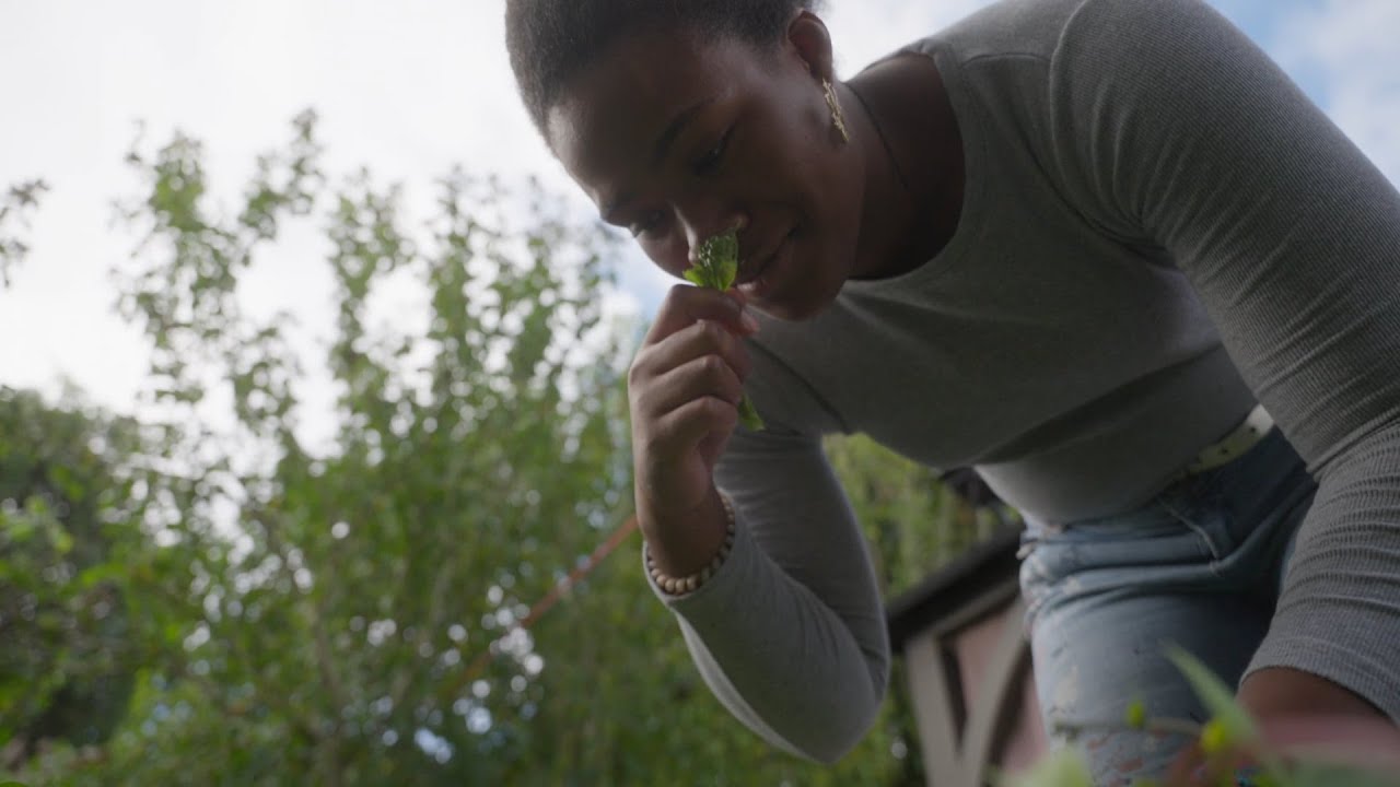 Learner Centered In Focus The Power Of A Reimagined Approach To