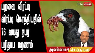 பறவை விரட்டி விரட்டி கொத்தியதில் 76 வயது நபர் பரிதாப மரணம் !!