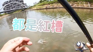 【夯魚癡】磯釣竿目印前打