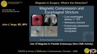 Magnets in flexible endoscopy