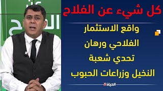 كل شيء عن الفلاح|   ورقلة والمغير... واقع الاستثمار الفلاحي ورهان تحدي شعبة النخيل وزراعات الحبوب