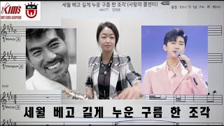 Kpop 임영웅/나훈아/황지나/세월 베고 길게 누운 구름 한 조각(사랑의 콜센타) 연속듣기