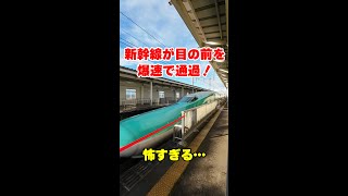 目の前を時速320㎞の新幹線が通過する恐怖の駅があるらしい… #Shorts