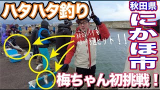 秋田県にかほ市でハタハタ釣り梅ちゃん初挑戦！