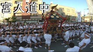 30年  素盞雄神社  天王祭「宮入道中」三年に一度　本社神輿立派な渡御　迫力満点。