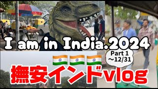 【撫安インドvlog】I am in India. ~前編 part1〜