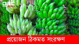 দেশের চাহিদা মেটাবে খাগড়াছড়ির কলা