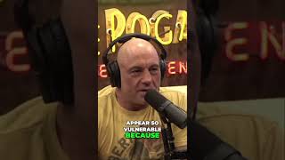 Are Drones Threatening Our Safety: The Unseen Reality #joerogan #podcast #joeroganexperience #jre