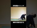 【背骨調整ストレッチ】　ヨーガ・ピラティス：ボディワーク shorts