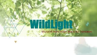 ワードアドインマクロ「WildLight」イントロビデオ