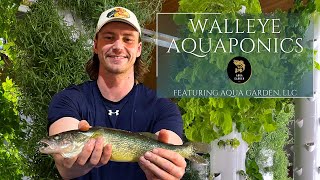 Walleye in Aquaponics: Aqua Garden in Rice Lake, Wisconsin