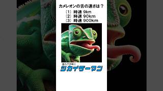 【歯のIQテスト4】カメレオンの舌の速さは?＃クイズ ＃歯科 ＃雑学 #豆知識